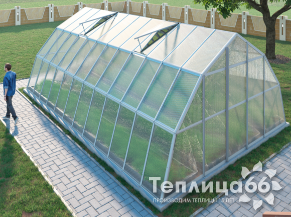 Теплица Рада Балхаш из поликарбоната, 5х8 метров, белая